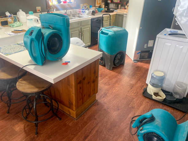 Best Ceiling water damage repair  in Genola, UT