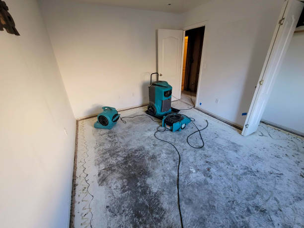 Best Fire Damage Restoration  in Genola, UT