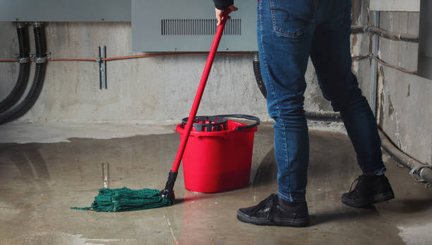 Best Water damage restoration experts  in Genola, UT