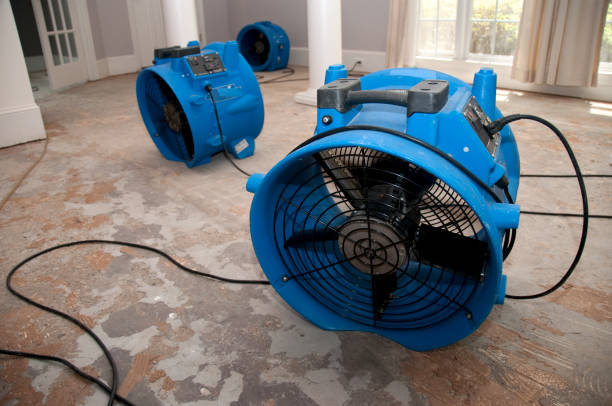 Best Carpet water damage restoration  in Genola, UT