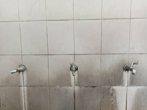 Best Sewage cleanup and water damage restoration  in Genola, UT