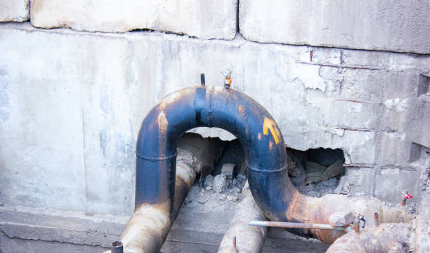 Best 24/7 water damage repair  in Genola, UT