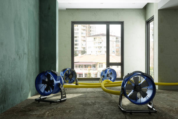 Best 24/7 water damage repair  in Genola, UT
