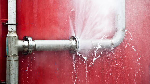 Best Professional water damage repair  in Genola, UT